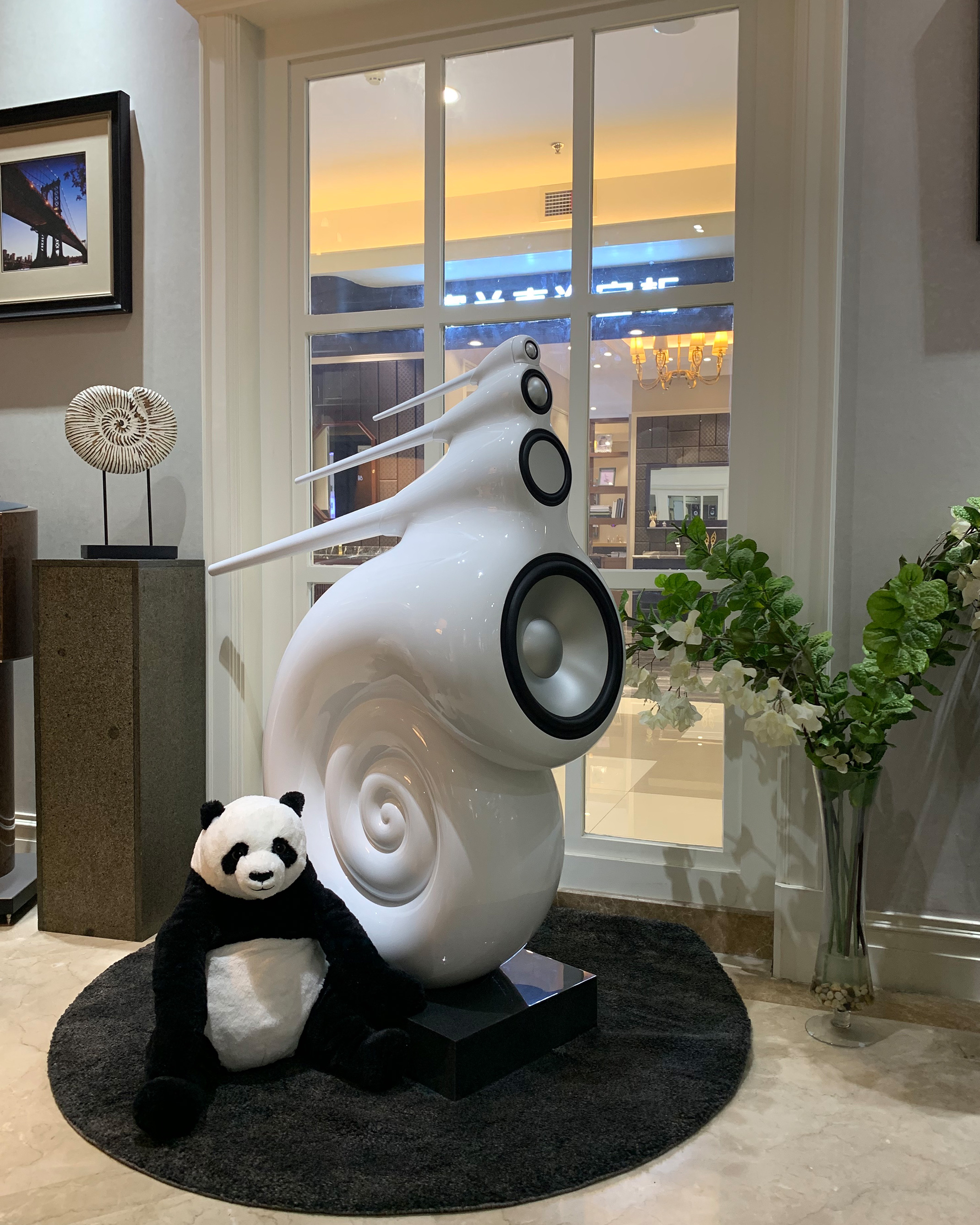 2018年 富森美店 宝华白色鹦鹉螺到店展示。