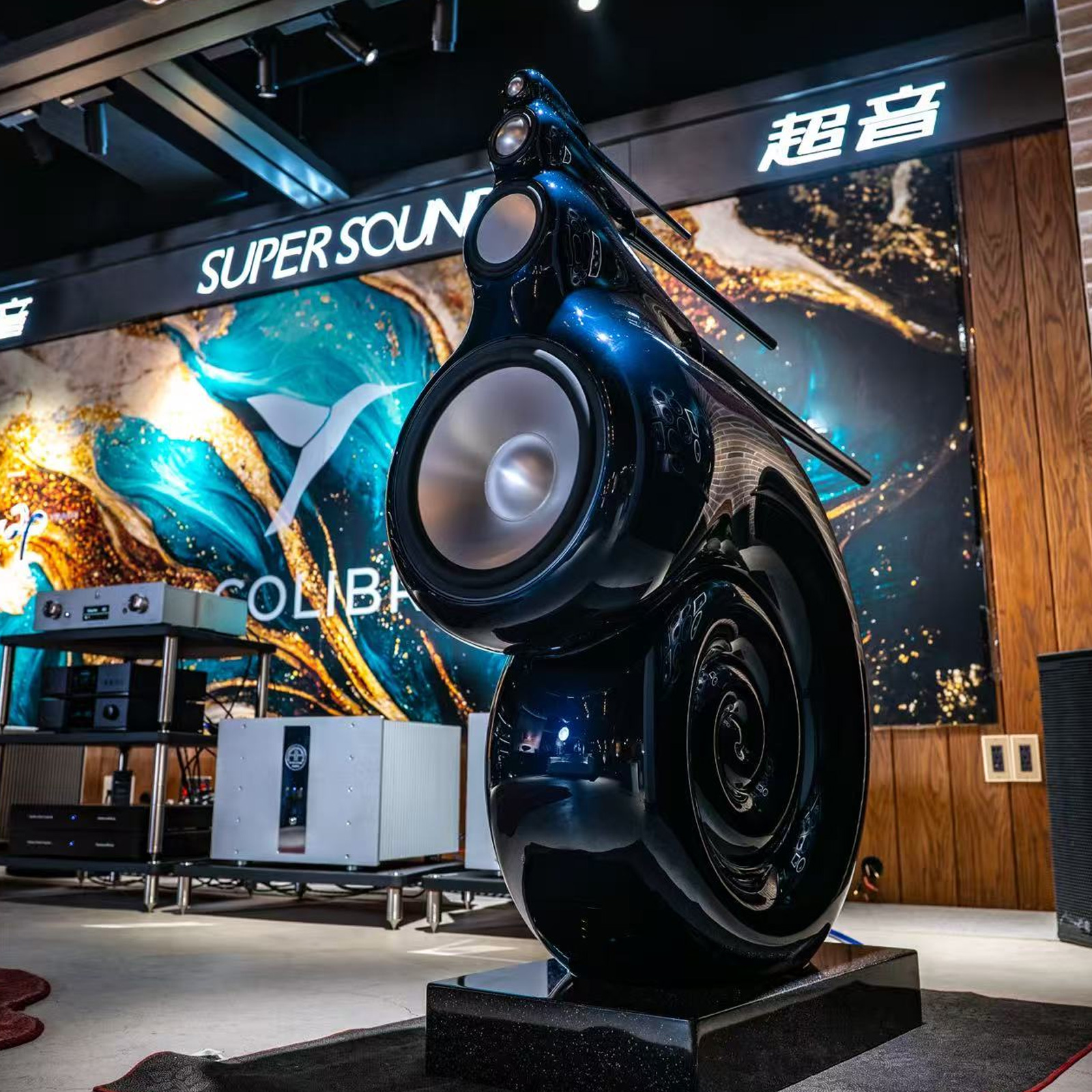 Bowers & Wilkins Nautilus + (AA) 英国宝华鹦鹉螺+德国AA放大器 高级HiFi配置